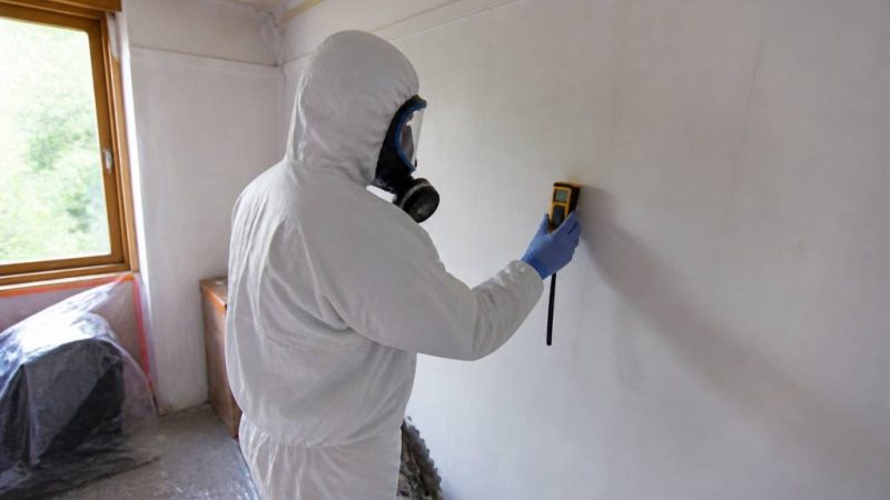 Formation en radioprotection pour sécuriser les interventions en maison saine